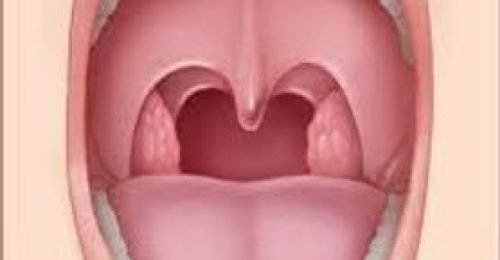 910504_06fc371bcec94133a0af991d0