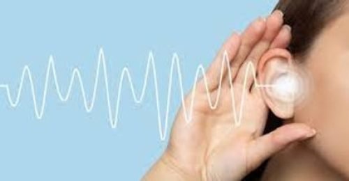 910504_4247f8cac42147fabf0a7aa89